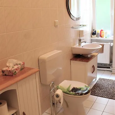 Guest house Brinn 3*