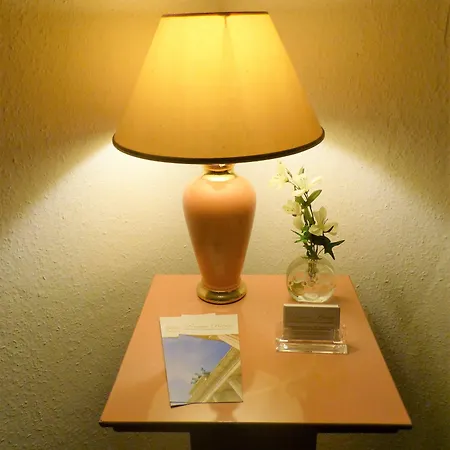 Guest house Brinn 3*