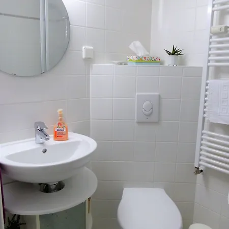 Brinn בית הארחה 3*