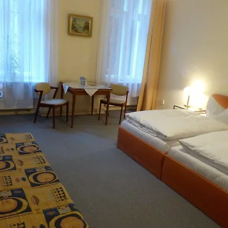 Guest house Brinn 3*